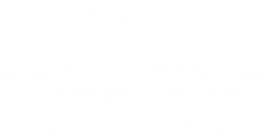 인증된 중고차