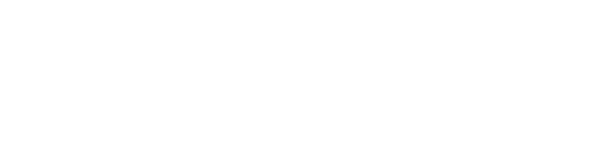 인증된 중고차